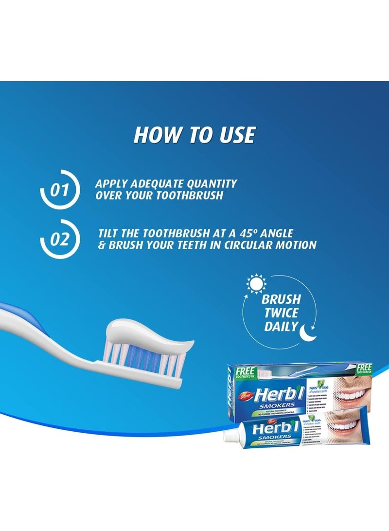 دابر معجون أسنان دابر هيربل الطبيعي للمدخنين (١٥٠ غرام + فرشاة أسنان) | غني بالملح والنعناع ولحاء التوت الأسود | لثة صحية وأسنان قوية | يحارب ٧ علامات على أسنان المدخنين - Image 3