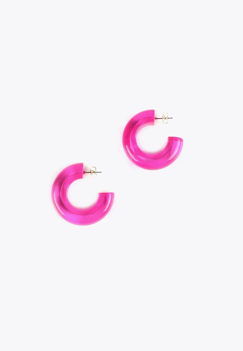 Lola Casademunt Thick hoop earrings 022 U