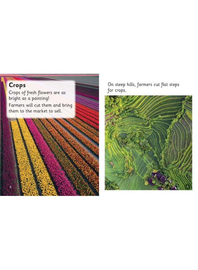 Patterns from the Air: Phase 4 Set 2 Stretch and challenge - Image 4