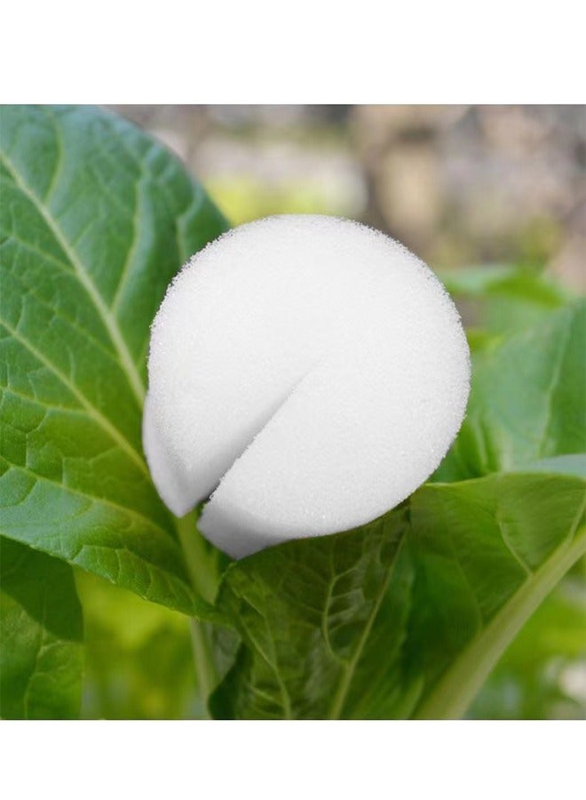 Generic 20-Pieces Soilless Cultivation Plant Fixed Cotton,Hydroponic Plant Fixed Cotton,Plant Seedling Cultivation Cotton,Size 60MM  - Image 4