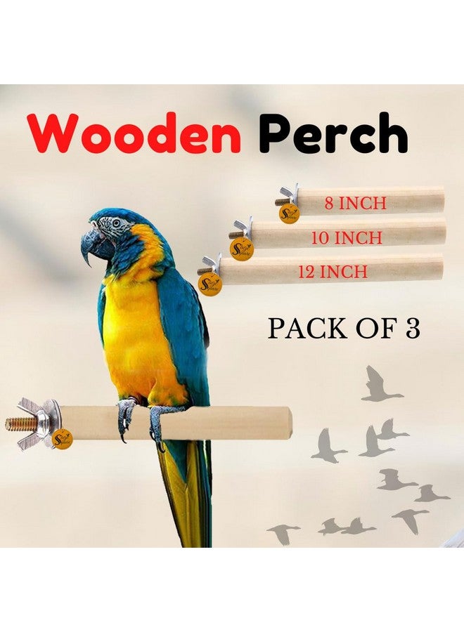 سايج سكوير مجموعة مجثمات الطيور الخشبية الطبيعية - 8 و10 و12 بوصة | مثالية للتمرين واللعب والتدريب وتحسين الأقفاص ومنع مشاكل القدم | مناسبة للعصافير والببغاوات والبادجي والكوكاتيل | عبوة من 3 قطع - Image 4
