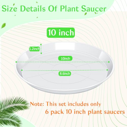 FUIJOL 6 Pack Clear Plant Saucer Durable Plant Drip Trays Saucers for Pots No Holes Water Catcher Trays for Indoor Outdoor Planter Sturdy Base Plate 10 Clear - Image 3