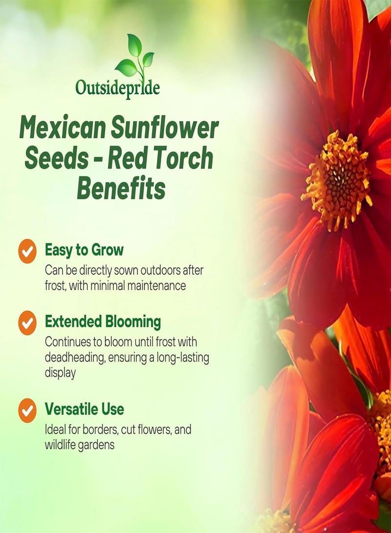GGOOT Red Torch  Sunflower Seeds - 200 Seeds Annual Tithonia, Fast-Growing, Heat & Drought-Tolerant Flower Seeds for Pollinator Gardens, Landscapes, & Flower Arrangements (AAS Winner) - Image 3