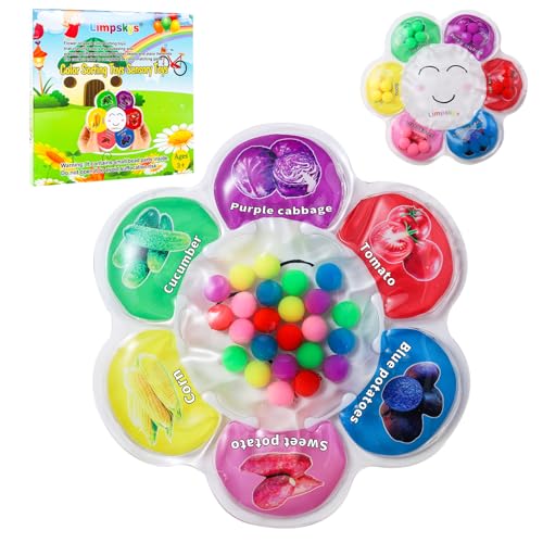 Limpskys Color Sorting Sensory Toys Sensory Toys for Toddlers Sensory Calming Tools for Kids Quiet FidgetColor Matching Game Multicolor Vegetable - Image 1
