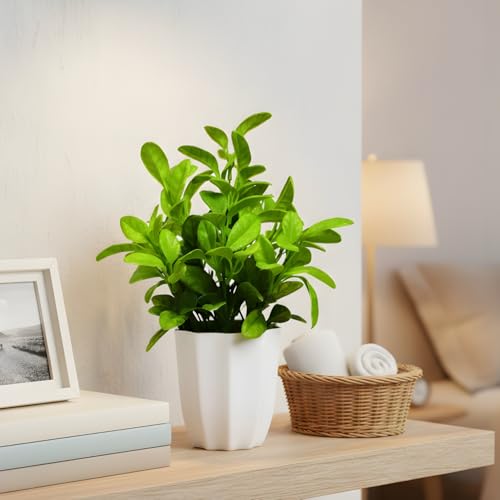 fancymart Artificial Plant Citrus Leaves in Pot Perfect Potted Decoration for Home Living Room & Office Spaces Height - 30cm - Image 1