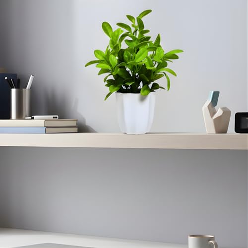 fancymart Artificial Plant Citrus Leaves in Pot Perfect Potted Decoration for Home Living Room & Office Spaces Height - 30cm - Image 4