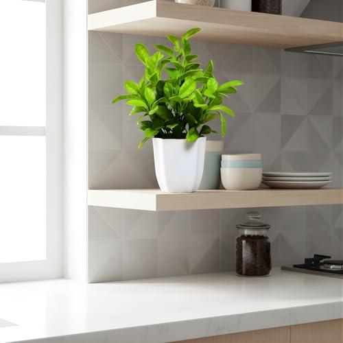 fancymart Artificial Plant Citrus Leaves in Pot Perfect Potted Decoration for Home Living Room & Office Spaces Height - 30cm - Image 2