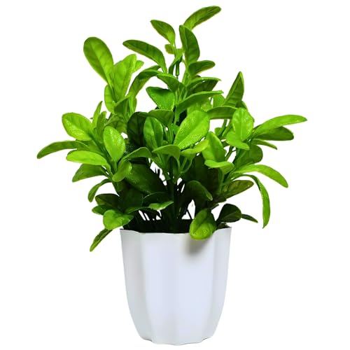 fancymart Artificial Plant Citrus Leaves in Pot Perfect Potted Decoration for Home Living Room & Office Spaces Height - 30cm - Image 5