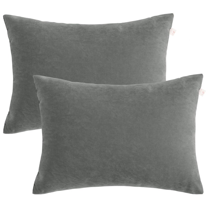 BEDSUM 2 Pack Microfiber Pillows 13x18 Soft Machine Washable Dark Grey