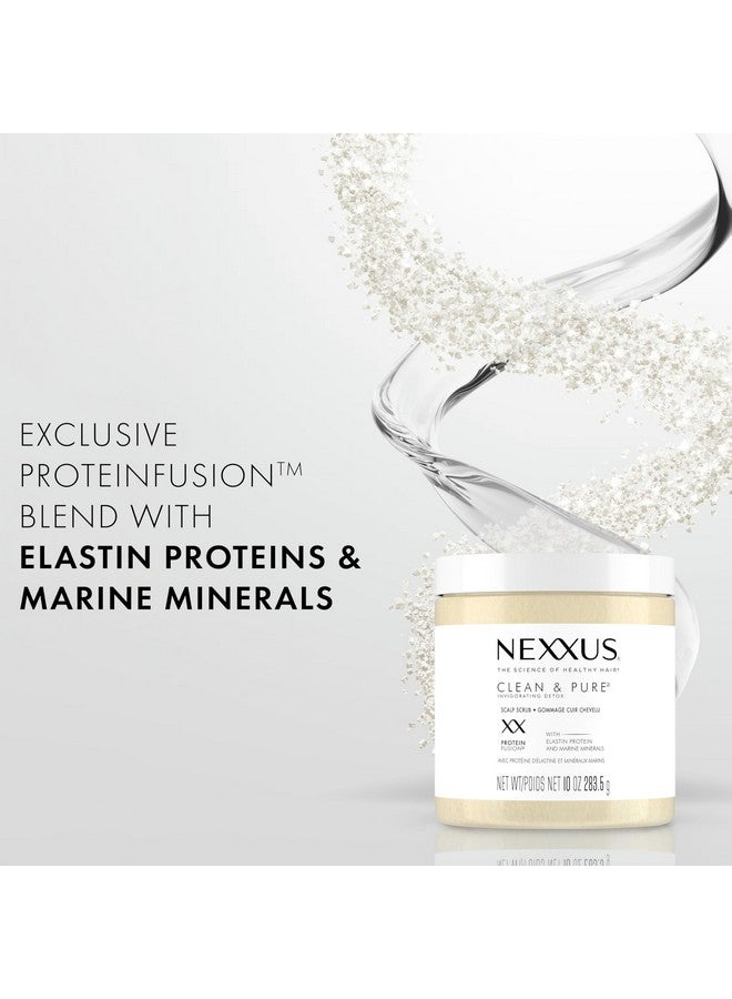 نيكزس مقشر الشعر نيكسوس الخالي من الكبريتات، مقشر لفروة الرأس لتغذية وتنقية الشعر، خالي من السيليكون والصبغة والبارابين، 10 أونصة - Image 3