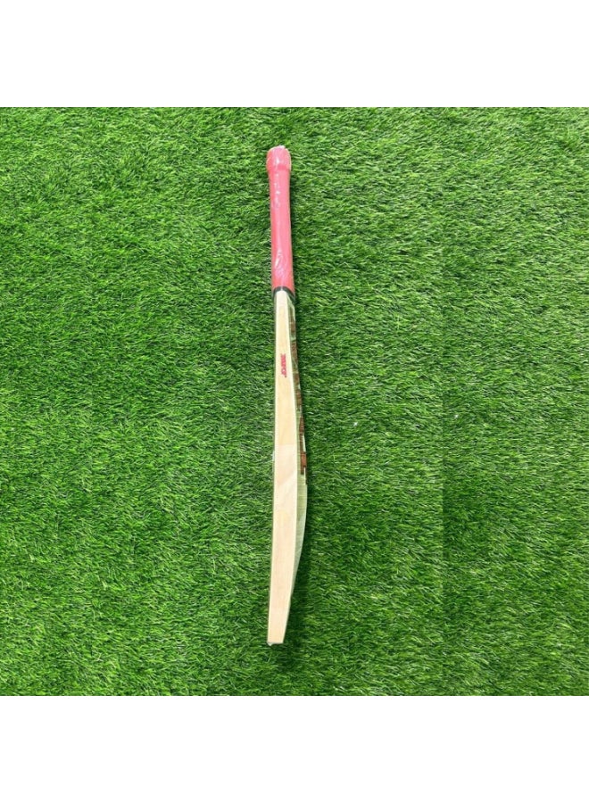 MRF Champ Kashmir Willow Bat Size Harrow - Image 4