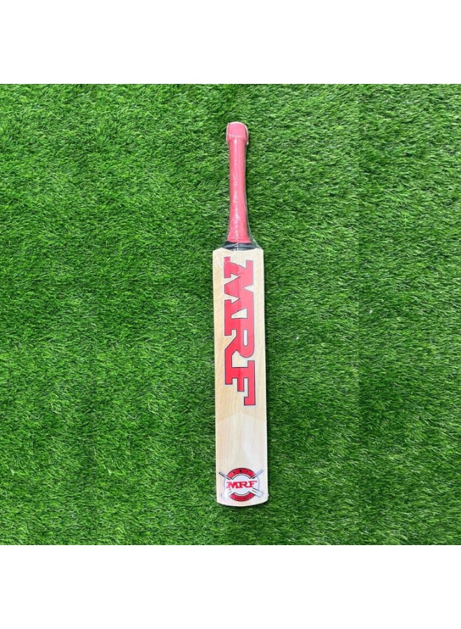 MRF Champ Kashmir Willow Bat Size Harrow - Image 3