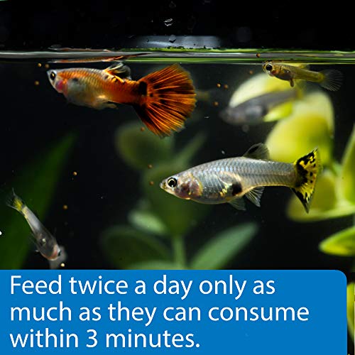 API TROPICAL MINI PELLETS Mini Sinking Pellets Fish Food 1.7-Ounce Container - Image 3