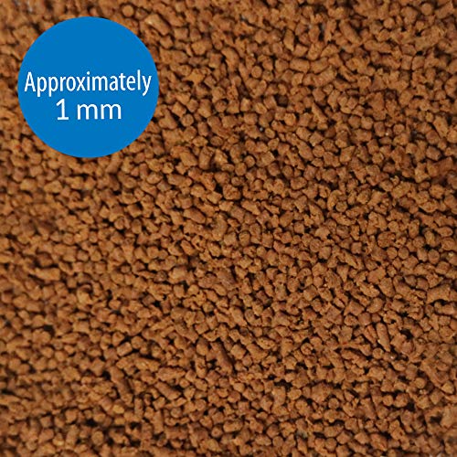 API TROPICAL MINI PELLETS Mini Sinking Pellets Fish Food 1.7-Ounce Container - Image 2
