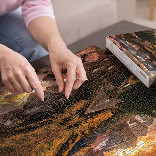 BBOLDIN Nature Puzzle for Adult 1000 Piece, Mountain Lake Landscape Puzzle Scenery, Maroon Lake Jigsaw Puzzles Scenic - Image 5