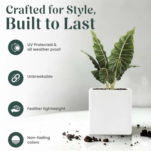 Go Hooked 10 Inch Cube Planter for Plants | Large Polymer Flower Pot for Balcony, Terrace, Home Décor, Indoor & Outdoor Gardening Balcony Terrace Home Décor | UV Resistant Durable Planter Pot (White) - Image 3