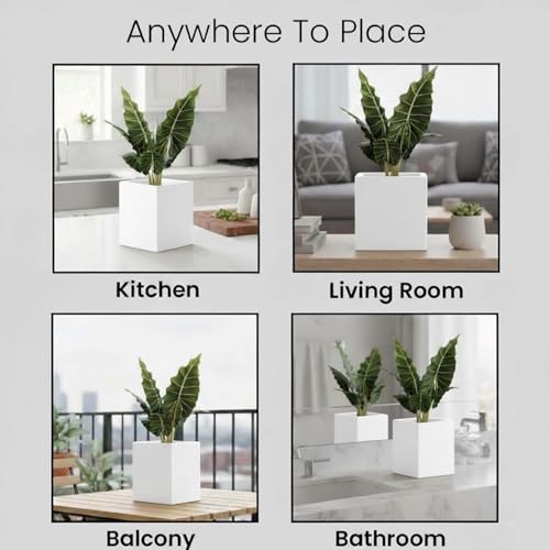 Go Hooked 10 Inch Cube Planter for Plants | Large Polymer Flower Pot for Balcony, Terrace, Home Décor, Indoor & Outdoor Gardening Balcony Terrace Home Décor | UV Resistant Durable Planter Pot (White) - Image 2