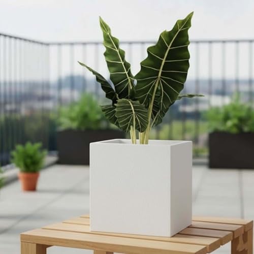 Go Hooked 10 Inch Cube Planter for Plants | Large Polymer Flower Pot for Balcony, Terrace, Home Décor, Indoor & Outdoor Gardening Balcony Terrace Home Décor | UV Resistant Durable Planter Pot (White) - Image 1