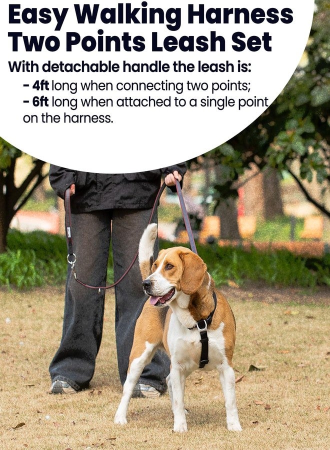 LufeLux No Pull Dog Harness with Two Points Control Leash Set, Neck Buckle, Aluminum D-Rings, 6 Points Adjustment, Easy Walking and Training, Leash with 2 Clips(Harness-Leash Set, M) - Image 4