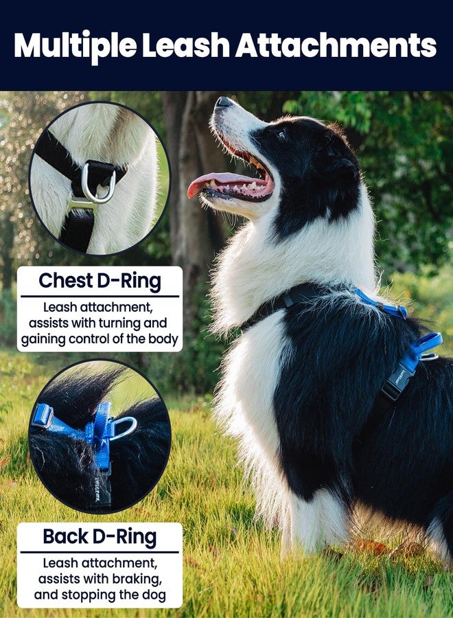 LufeLux No Pull Dog Harness with Two Points Control Leash Set, Neck Buckle, Aluminum D-Rings, 6 Points Adjustment, Easy Walking and Training, Leash with 2 Clips(Harness-Leash Set, M) - Image 3