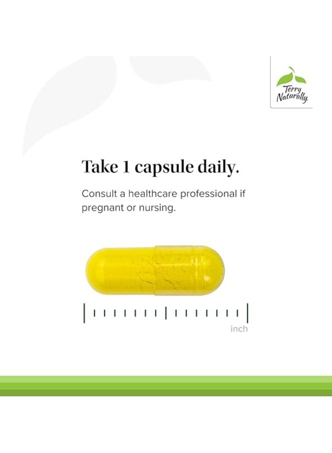 Terry Naturally, Berberine MetX, Ultra Absorption, 60 Capsules - Image 4