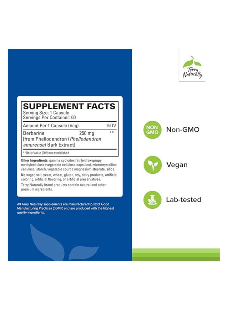 Terry Naturally, Berberine MetX, Ultra Absorption, 60 Capsules - Image 2