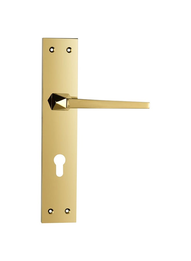 DANUBE HOME Milano Za Tubal 72L-715 Gold Plate Door Handle - Premium Hardware for Doors - Stylish and Durable Door Handles - Perfect for Home Renovation and Interior Design