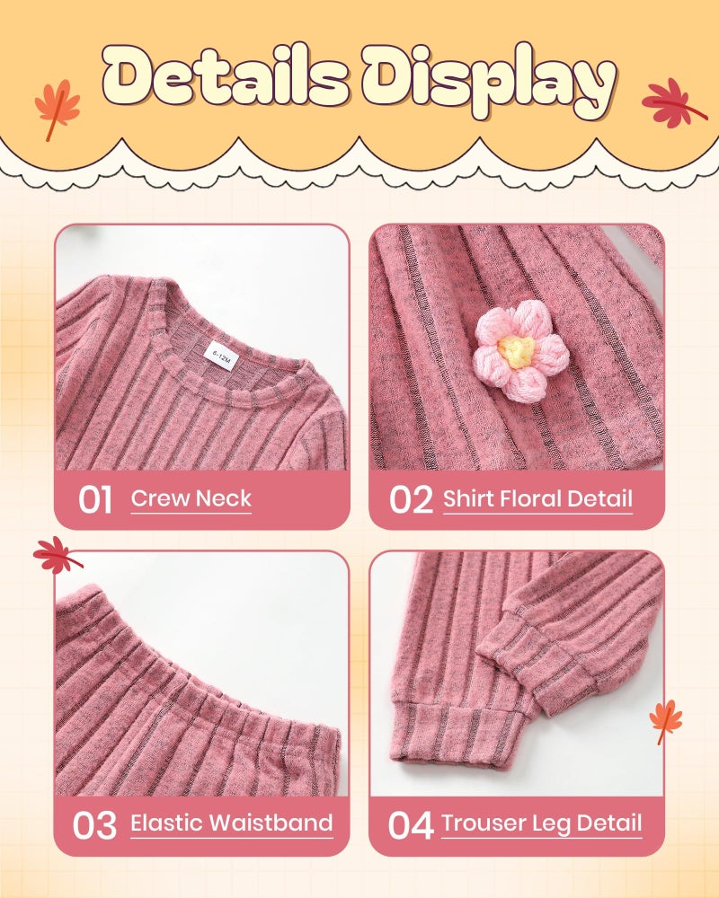 Mioglrie Baby Girl Clothes 18-24 Months Fall Winter Toddler Girl Outfits Pink Rib Clothing Sweatshirt Top Cute Casual Solid Pants Set - Image 5