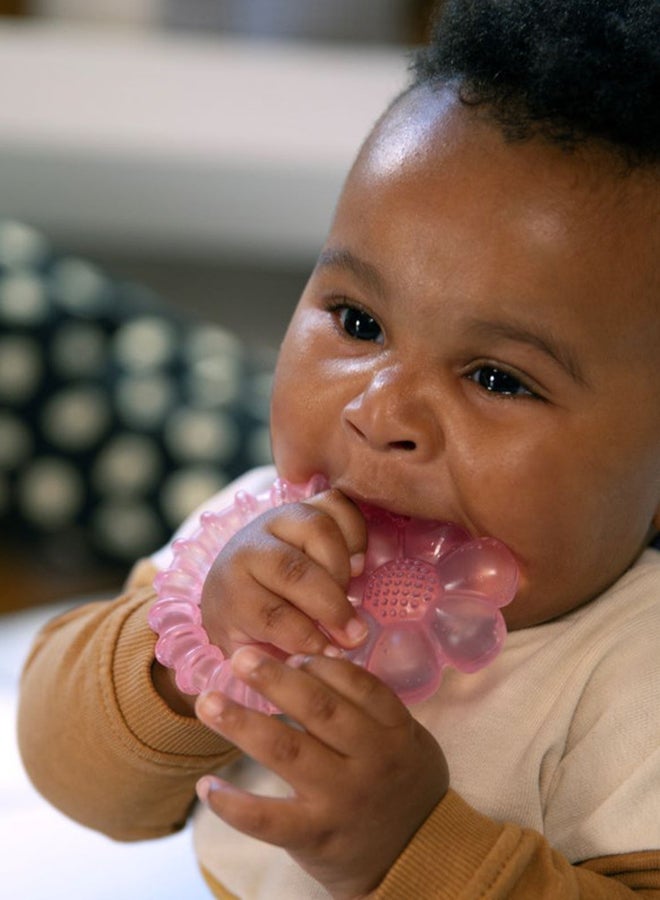 ingenuity عضاضة ماء كول بايت، خالية من BPA، 3 - 36 شهر - ديزي - Image 3