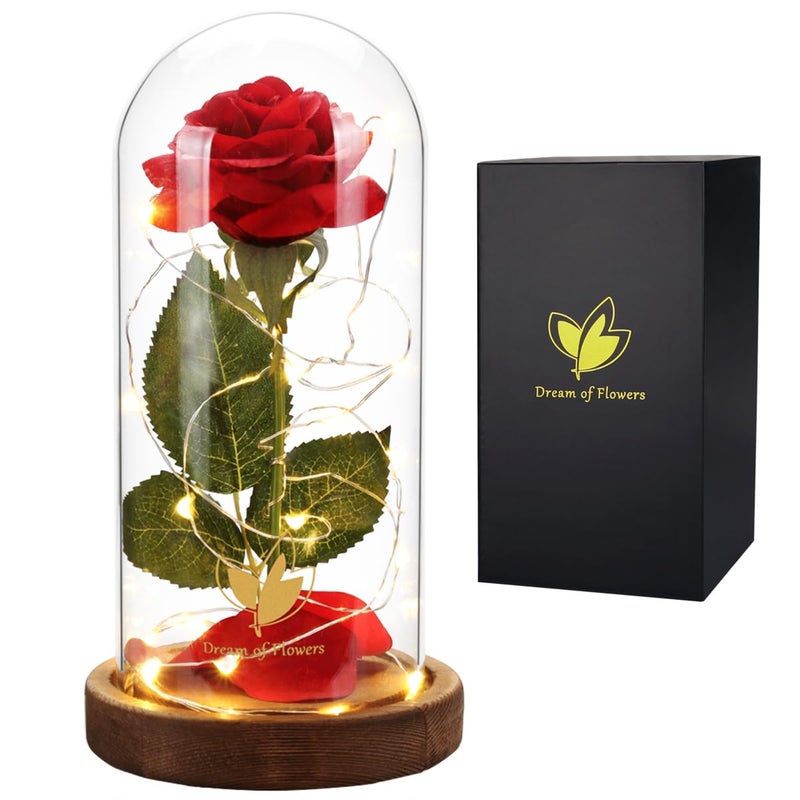 Birthday Gifts for WomenBeauty and The Beast RoseRed Rose in Glass Dome with LightsFlowers for Delivery PrimeRomanticFlower Gifts for Women Mom Wife Girlfriend on Birthday Anniversary Wedding