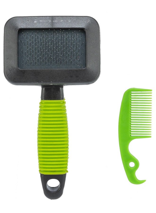 تريكسي مجموعة فرشاة ومشط ناعمة للعناية بالحيوانات الأليفة من TRIXIE للجراء والقطط والحيوانات الصغيرة - Image 3