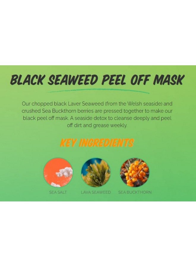 سفنث هيفن قناع وجه سهل التقشير من الأعشاب البحرية مع مسام الوجه للتخلص من سموم الأعشاب البحرية لجميع أنواع البشرة، 3 عبوات تحتوي كل منها على 0.3 أونصة سائلة 3 أكياس - Image 3