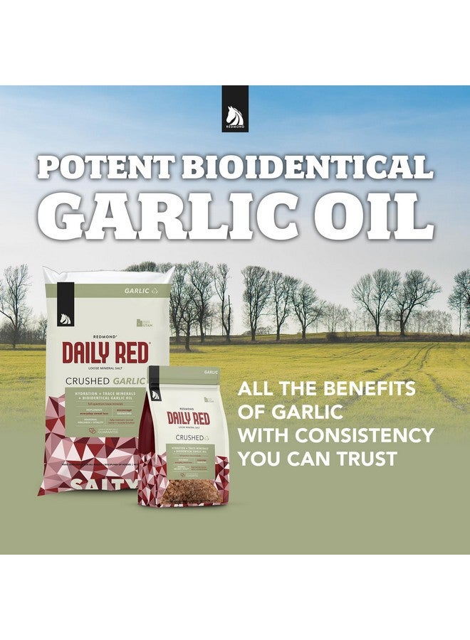 Redmond Daily Red Crushed Garlic | Horse Minerals & Vitamins Supplement | Garlic for Horses - Image 4