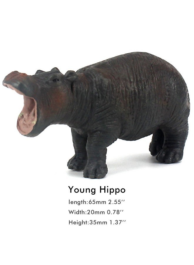 FUNSHOWCASE African Jungle Animals Toy Hippos Hippopotamus Figure Realistic Plastic Figurine Playset Lot 4-Piece - Image 4