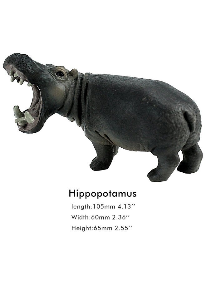 FUNSHOWCASE African Jungle Animals Toy Hippos Hippopotamus Figure Realistic Plastic Figurine Playset Lot 4-Piece - Image 5