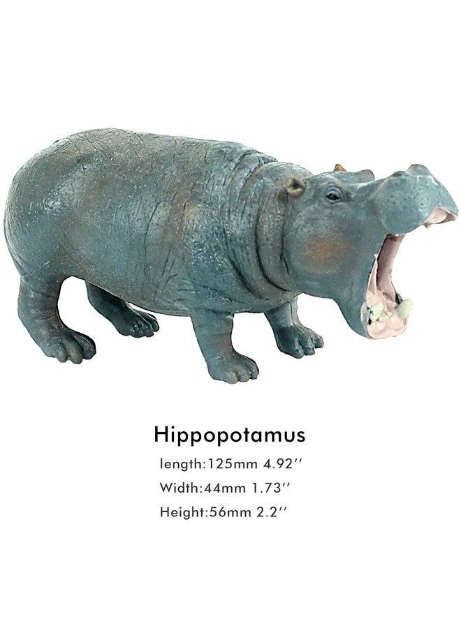FUNSHOWCASE African Jungle Animals Toy Hippos Hippopotamus Figure Realistic Plastic Figurine Playset Lot 4-Piece - Image 3