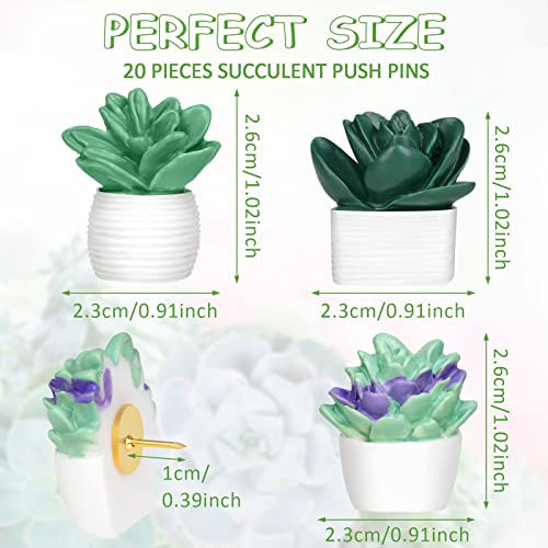 Utron 20 Pieces Cute Succulent Plants Decorative Push Pins Colorful Floret Thumbtacks for Photo Wall, Feature Wall, Whiteboard, Cork Board, Map, Bulletin Board, Office or Home (Three Assorted Styles) - Image 2