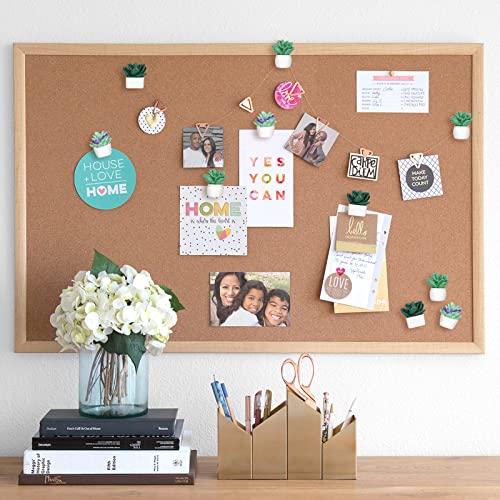 Utron 20 Pieces Cute Succulent Plants Decorative Push Pins Colorful Floret Thumbtacks for Photo Wall, Feature Wall, Whiteboard, Cork Board, Map, Bulletin Board, Office or Home (Three Assorted Styles) - Image 5