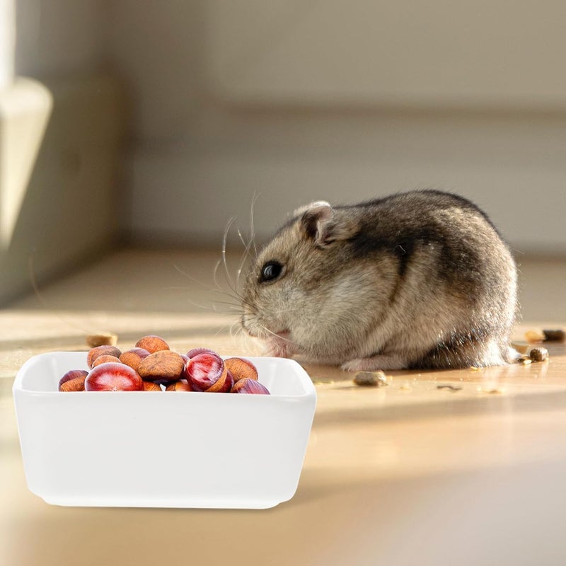 POPETPOP Hamster Food Bowl and Small Cat Bowl 2pcs Ceramic Anti-Fall Pet Feeder Set with Bite-Resistant Design for Guinea Pigs and Small Animals - Image 4