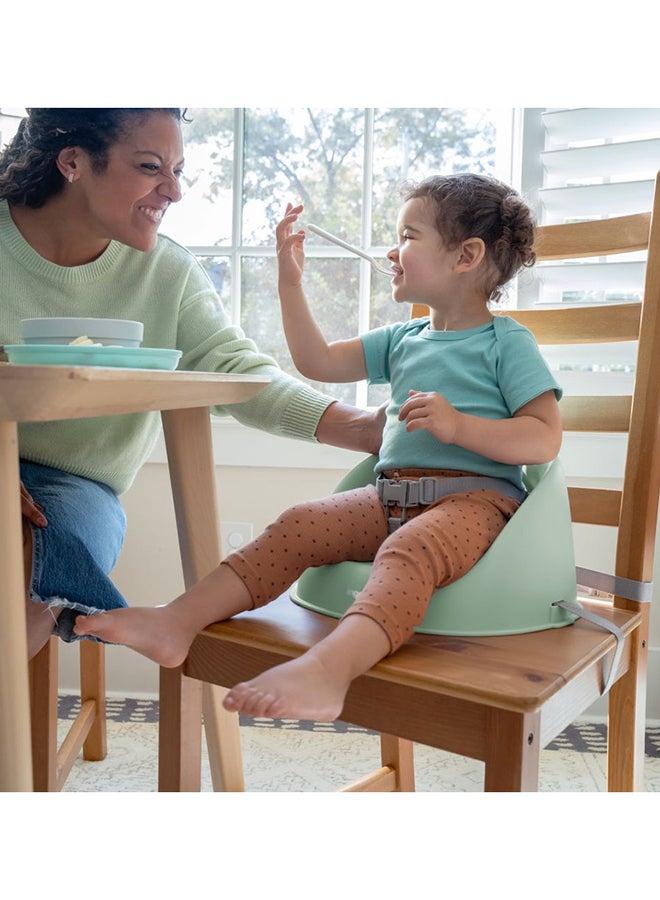 ingenuity My Spot Easy-Clean Booster Seat – 3-Point Harness, Washable Straps, Secure Fit on Dining Chairs, Green (6–36 Months) - Image 5