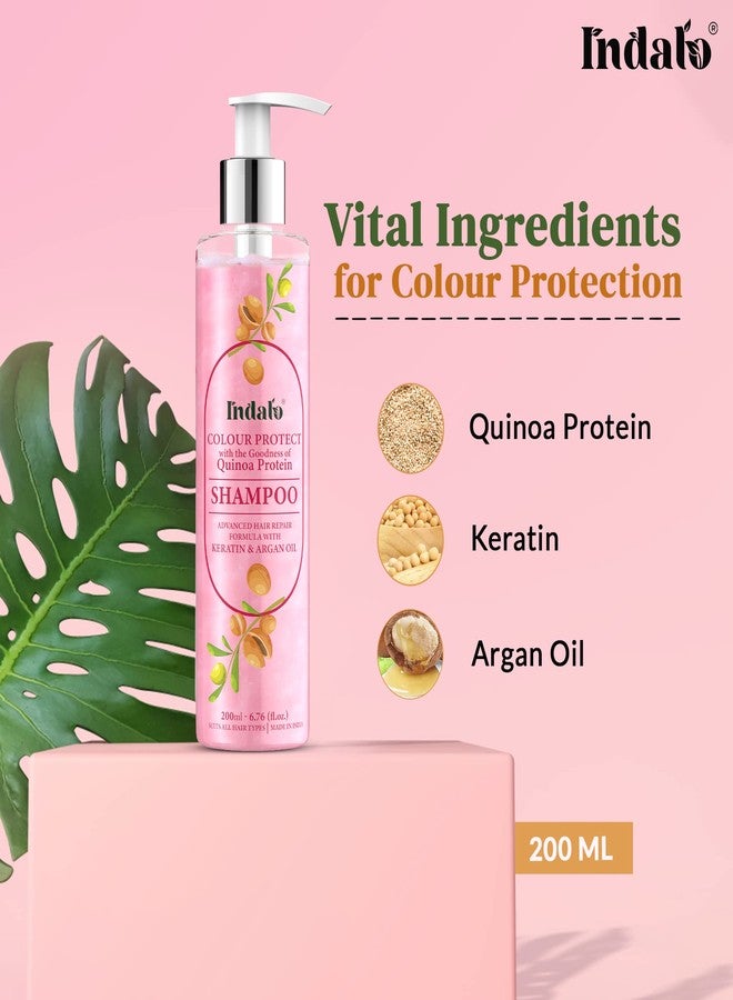 Indalo Quinoa Protein Colour Protect Shampoo with Argan Oil for Colour and Damaged Hair Repair - Keratin Hair Treatment Smoothing & Nourishing, Sulphate Free & Paraben Free - 200ml Each (Pack of 3) - Image 3