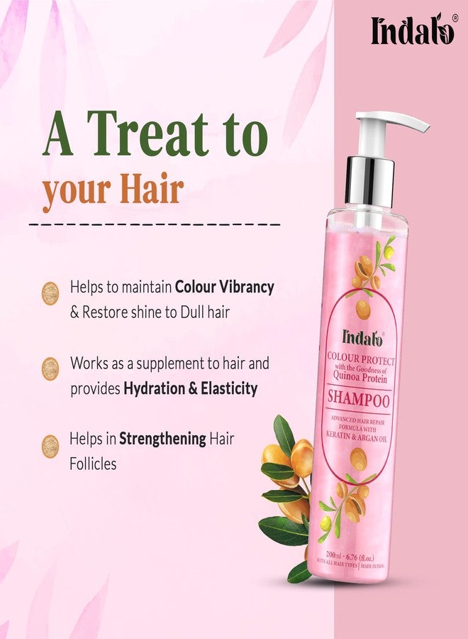 Indalo Quinoa Protein Colour Protect Shampoo with Argan Oil for Colour and Damaged Hair Repair - Keratin Hair Treatment Smoothing & Nourishing, Sulphate Free & Paraben Free - 200ml Each (Pack of 3) - Image 2