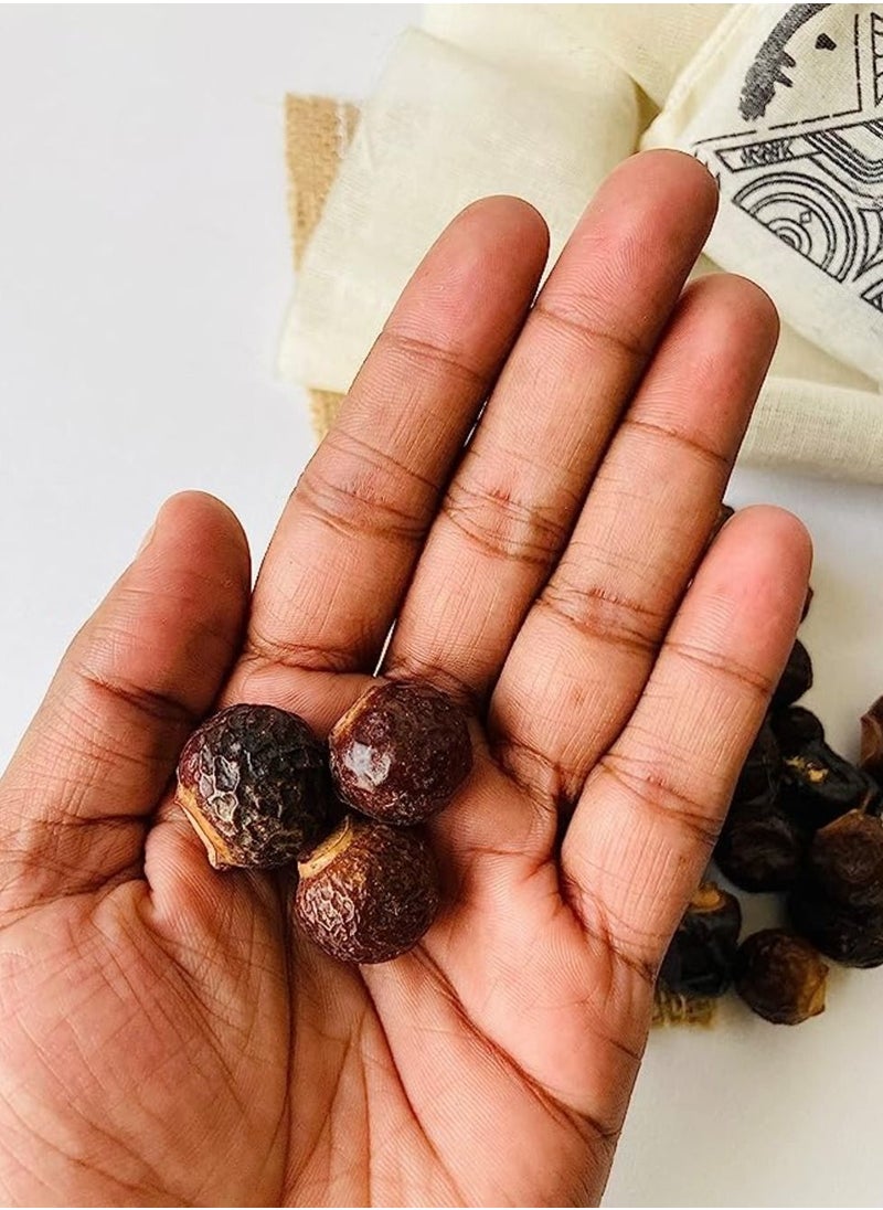 Awafi Mill Reetha Areetha Kunkudukaialu Soap Forest Natural Organic Whole Dried Reetha Soap Nuts Aritha Raw Form 150  - Image 3