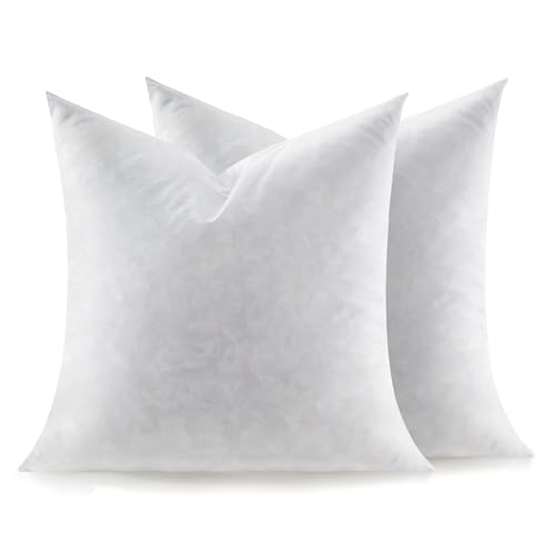 Swandream Feather Throw Pillow Inserts Set of 2, Soft Fluffy Square 20 x 20 Inches Decorative Pillow Insert, Feather and Down Filled Euro Pillows - Image 1