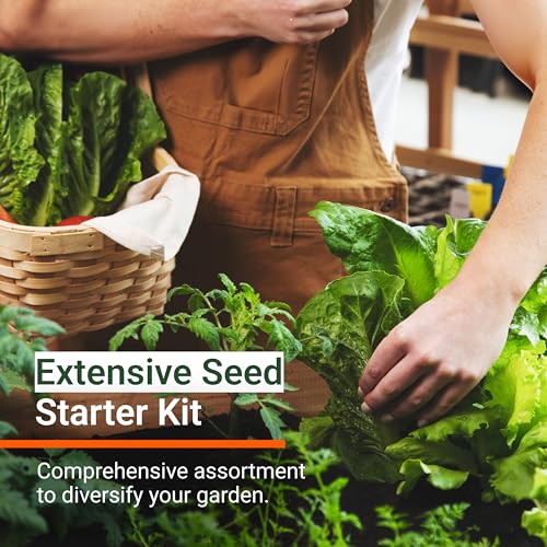 Open Seed Vault | 4,000 Heirloom Seeds | 12 Variety Pack of Herb Seeds | 2026 Season | Non GMO Vegetable and Fruit Seeds | Planting Outdoor & Indoor Garden | Gardening Starter Kit High Yield Produce - Image 2