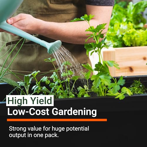 Open Seed Vault | 4,000 Heirloom Seeds | 12 Variety Pack of Herb Seeds | 2026 Season | Non GMO Vegetable and Fruit Seeds | Planting Outdoor & Indoor Garden | Gardening Starter Kit High Yield Produce - Image 4
