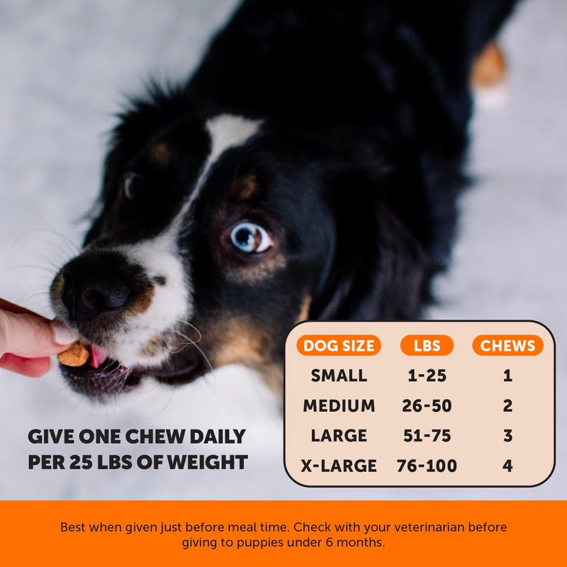Pet Honesty Hip & Joint Turmeric Health - Joint Supplement for Dogs, Omega-3 Fish Oil, Turmeric to Support Overall Health & Ease Stiffness - Advanced Pet Mobility Support - 90 Ct (Pumpkin) - Image 4