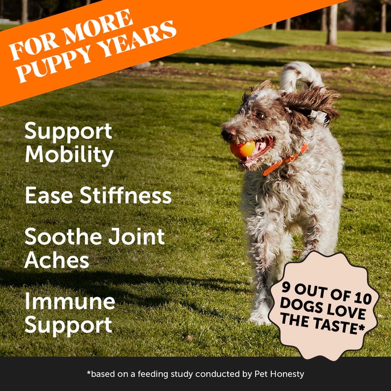 Pet Honesty Hip & Joint Turmeric Health - Joint Supplement for Dogs, Omega-3 Fish Oil, Turmeric to Support Overall Health & Ease Stiffness - Advanced Pet Mobility Support - 90 Ct (Pumpkin) - Image 2