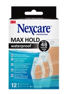 Nexcare N0612Asm Max Hold Wtprf 12/Pk 