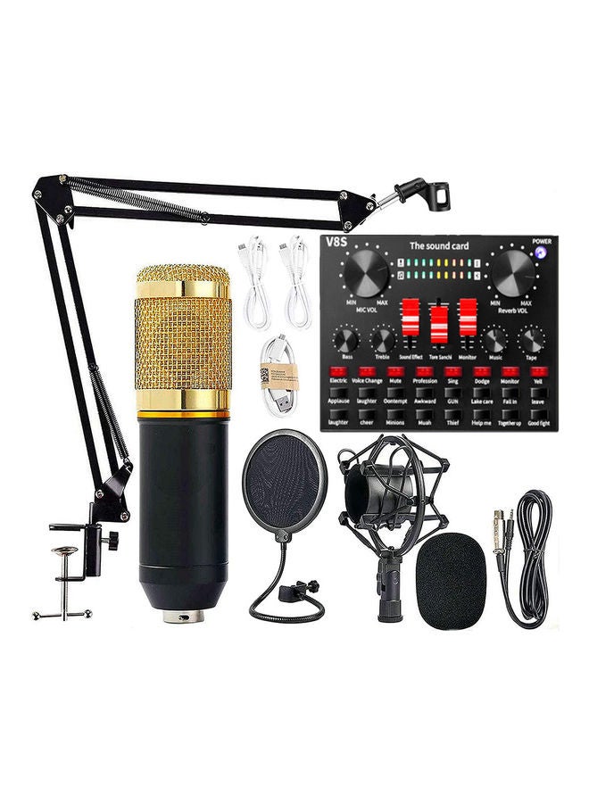 Studio Recording And Broadcasting  Microphone Set Black/Gold - Image 1